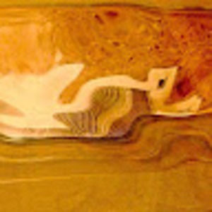 Meet your Posher, Dan